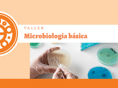 Microbiología básica ::PROGRAMA ONLINE::