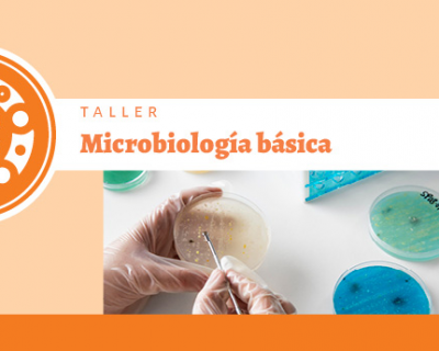 Microbiología básica ::PROGRAMA ONLINE::