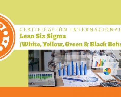 Certificación Internacional Lean Six Sigma (White, Yellow, Green y Black Belt) ::Programa ONLINE::
