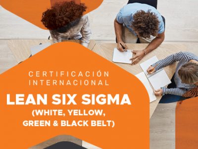 Certificación Internacional Lean Six Sigma (White, Yellow, Green y Black Belt) ::Programa ONLINE::